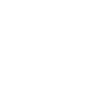 Seguros Seguros